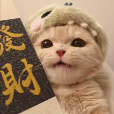 Người dùng Minh Quân